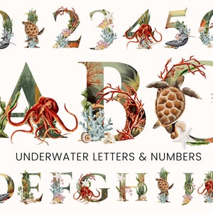 Números de letras del alfabeto submarino de acuarela - Animales bajo el mar - Clipart digital PNG - Guardería para bebés - Invitaciones - Náutica oceánica