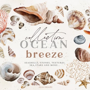 Ocean Breeze - Seashells Acquerello Digitale Clipart - Singoli file PNG - Matrimonio - Set grafico dipinto a mano - Boho Nautical Shells Stone