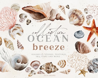 Ocean Breeze - Seashells Watercolor Digital Clipart - Individual PNG Files - Wedding - Hand Painted Graphic Set - Boho Nautical Shells Stone