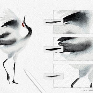 May include: A digital illustration of a crane painted in a watercolor style. The crane is in a white and gray color scheme with black accents. The illustration is labeled "Julia Dreams Wet Watercolor L" and "Wet on Wet Watercolor Procreate Brushes".
