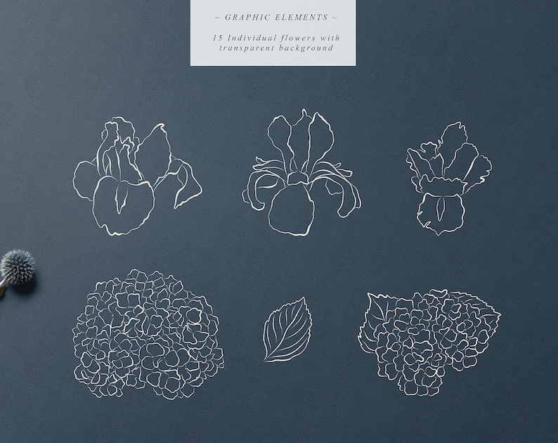 Modern Flowers Botanical Line Art Floral Clip Art Vector Etsy