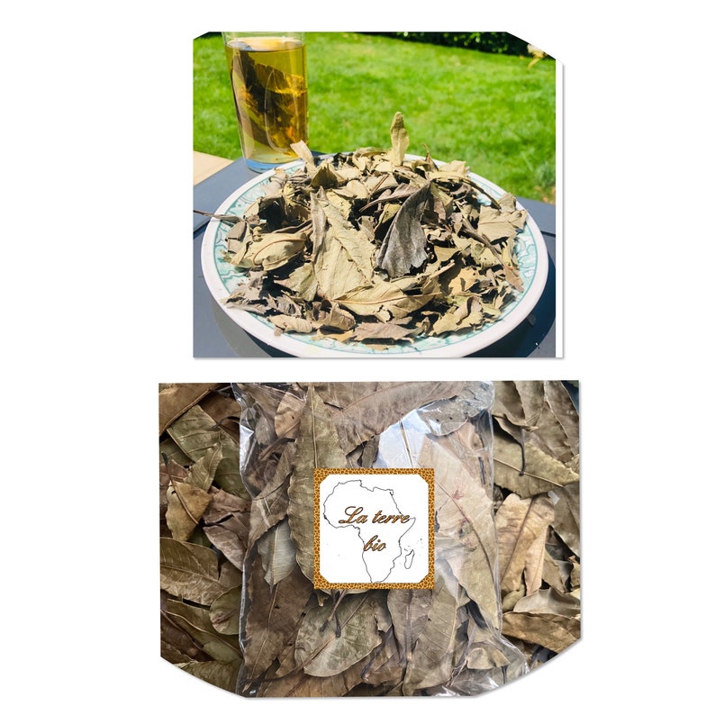Kinkeliba Leaf Organic Dried Kinkeliba Leaves - Etsy