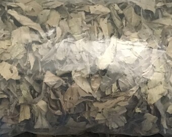 Feuille de kinkeliba  infusion  tisane de longue vie, kolobé, séréou (sékhéw), talli, NGolobé,