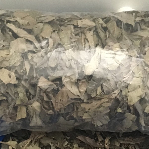 Feuille de kinkeliba  infusion  tisane de longue vie, kolobé, séréou (sékhéw), talli, NGolobé,