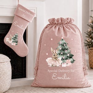 May include: A pink Christmas stocking and drawstring gift bag. Both items feature a watercolour illustration of a bunny, Christmas tree, and the text "Special Delivery for Emilia". The bag and stocking are made of a soft, plush material.