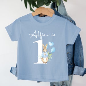 Blue Rabbit Birthday T-shirt Cotton T-shirt | Peach | Blue | Brown | Grey | Boy's T-shirt | Birthday T-shirt | I am one | First Birthday