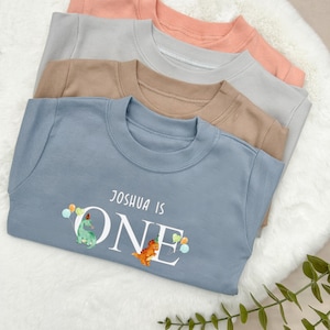 Personalised Dinosaur Party T-shirt Cotton | Blue | Brown | Grey | Boy's T-shirt | Birthday T-shirt | I am one | First Birthday