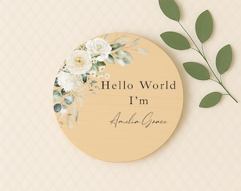 Baby Name Sign | Newborn Baby Girl Pink | Plaque | Hello World My Name Is | Birth Announcement | New Baby Gift | Social Media Photo