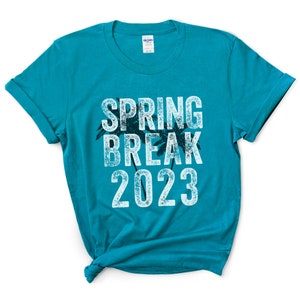 Vacaciones de primavera 2023, Palm Trees Beach, camisetas del equipo de vacaciones de primavera, equipo de vacaciones de primavera, camisetas universitarias, camisetas de viaje a juego, descuento de grupo
