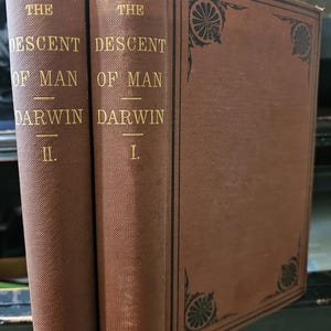 L&#39;origine dell&#39;uomo di Charles Darwin in 2 volumi, prima edizione statunitense 1871
