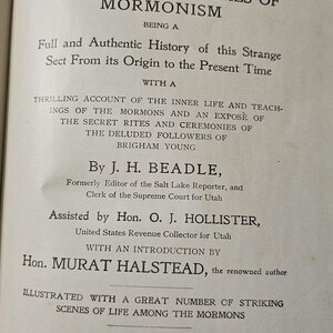 Polygamie oder die Mysterien und Verbrechen der Mormonen von J. H. Beadle Bild 2