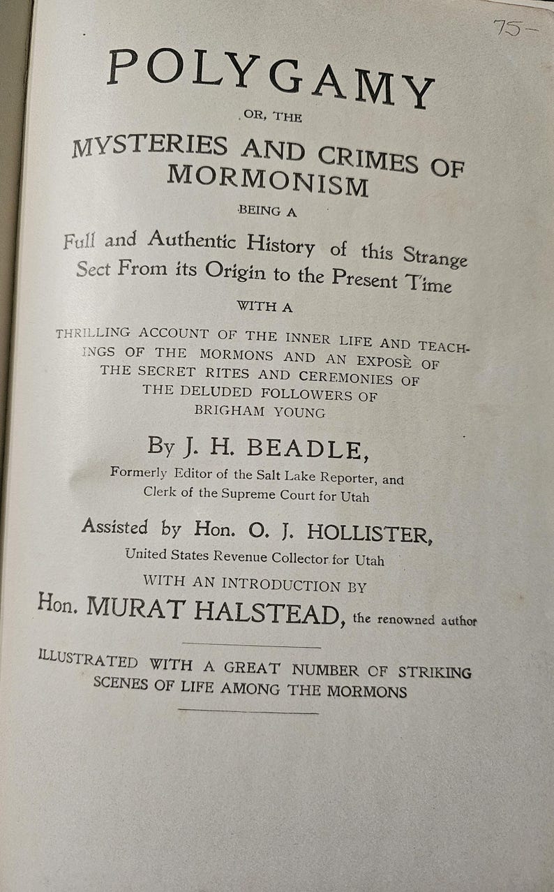 Polygamie oder die Mysterien und Verbrechen der Mormonen von J. H. Beadle Bild 2