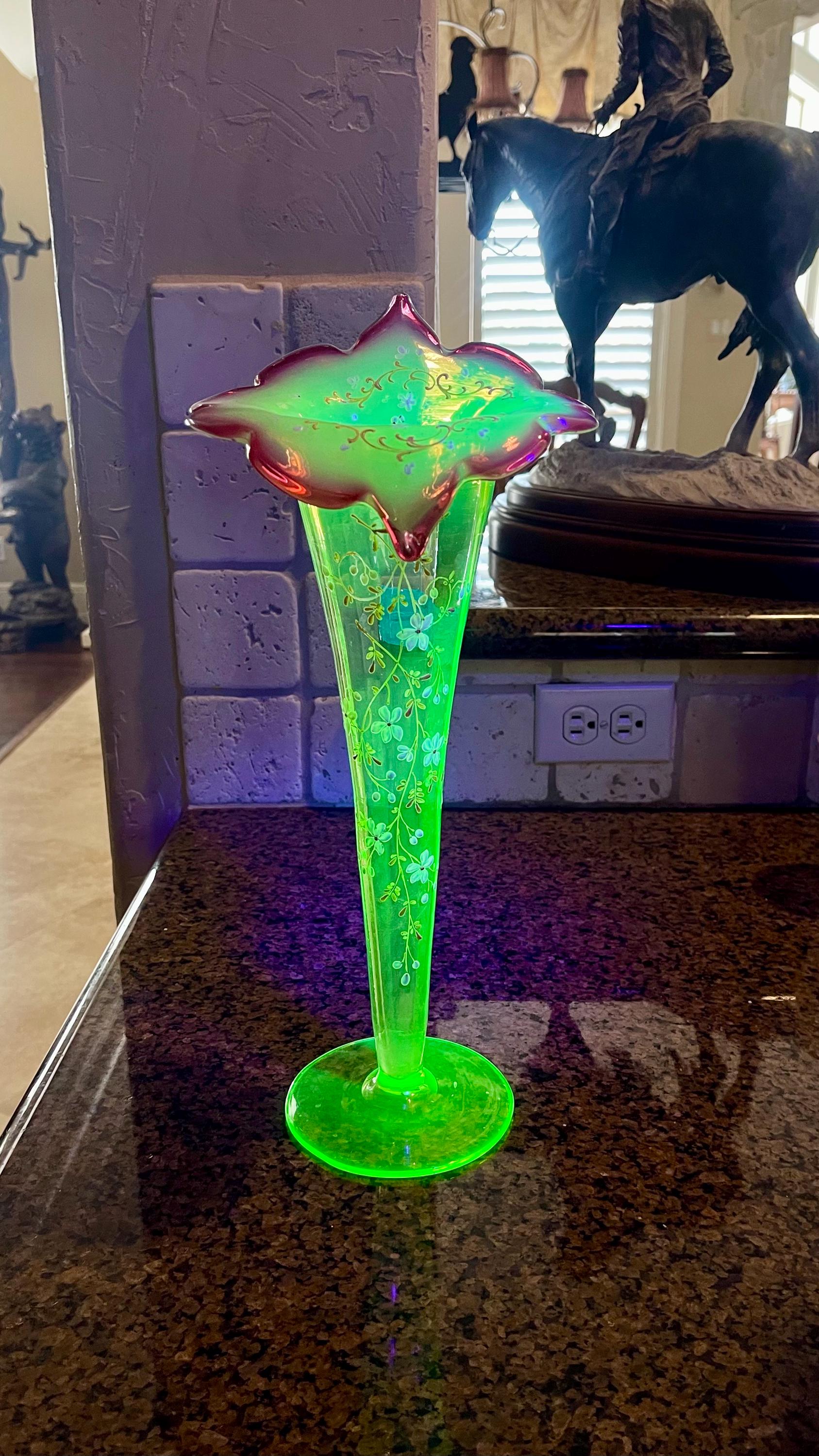 Jack in the Pulpit Uranium - Etsy