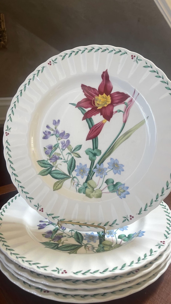 ミカズキッチン プレート Mikasa Maxima Set of 5 Dinner Plates Summer Symphony - Etsy