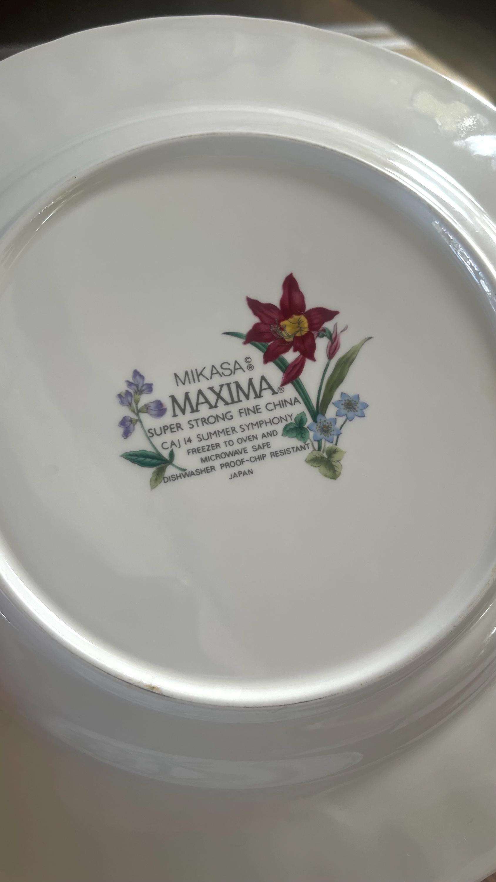 Mikasa Maxima Set of 5 Dinner Plates Summer Symphony - Etsy