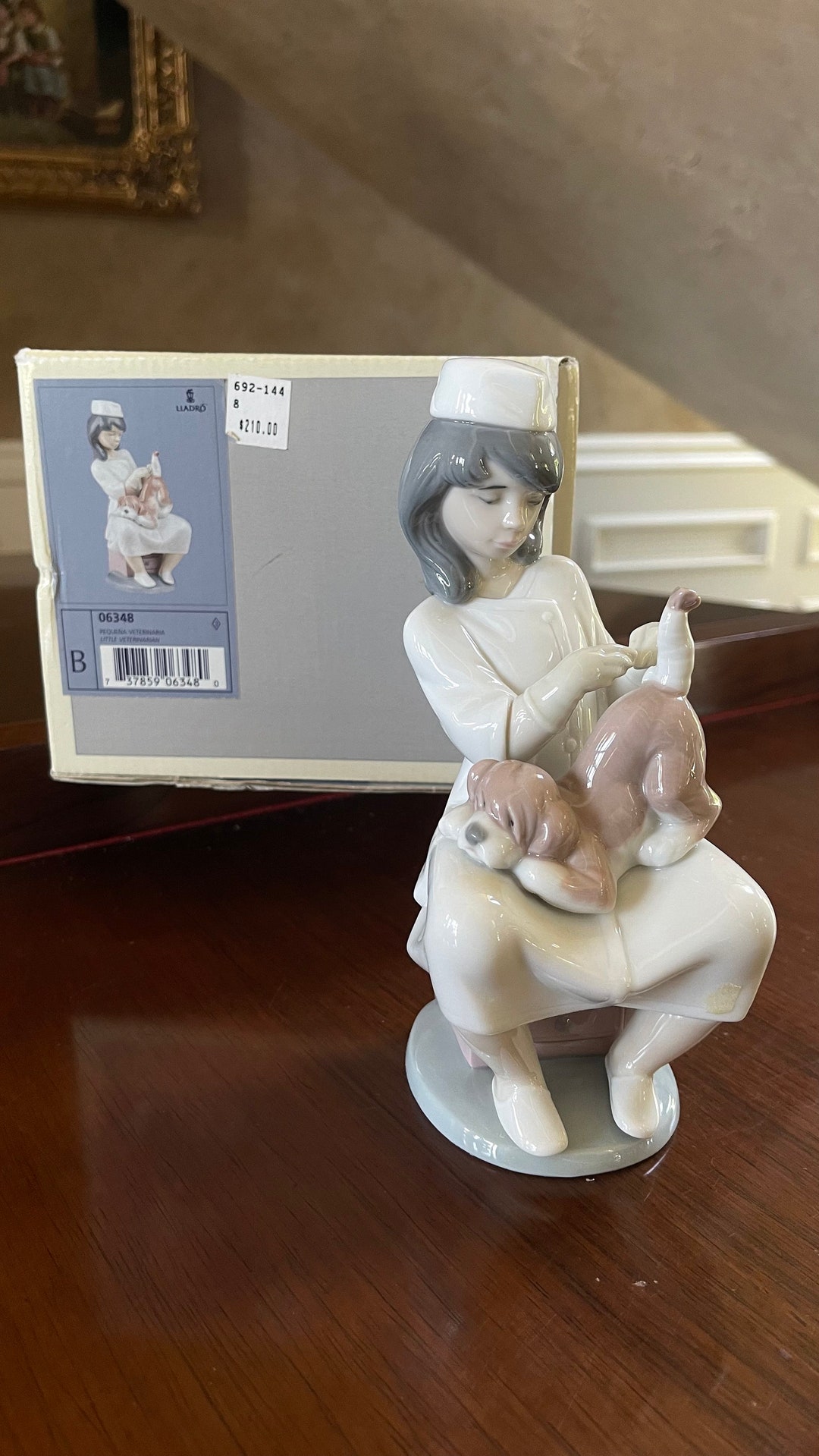 Lladro “little Veterinarian” Nurse With Her Dog 6348 Porcelain