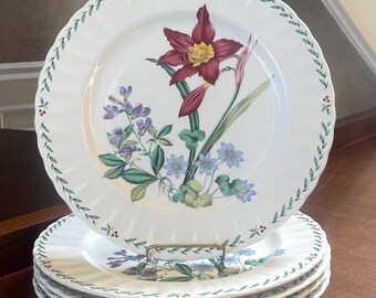 Mikasa Maxima Set of 5 Dinner Plates Summer Symphony - Etsy