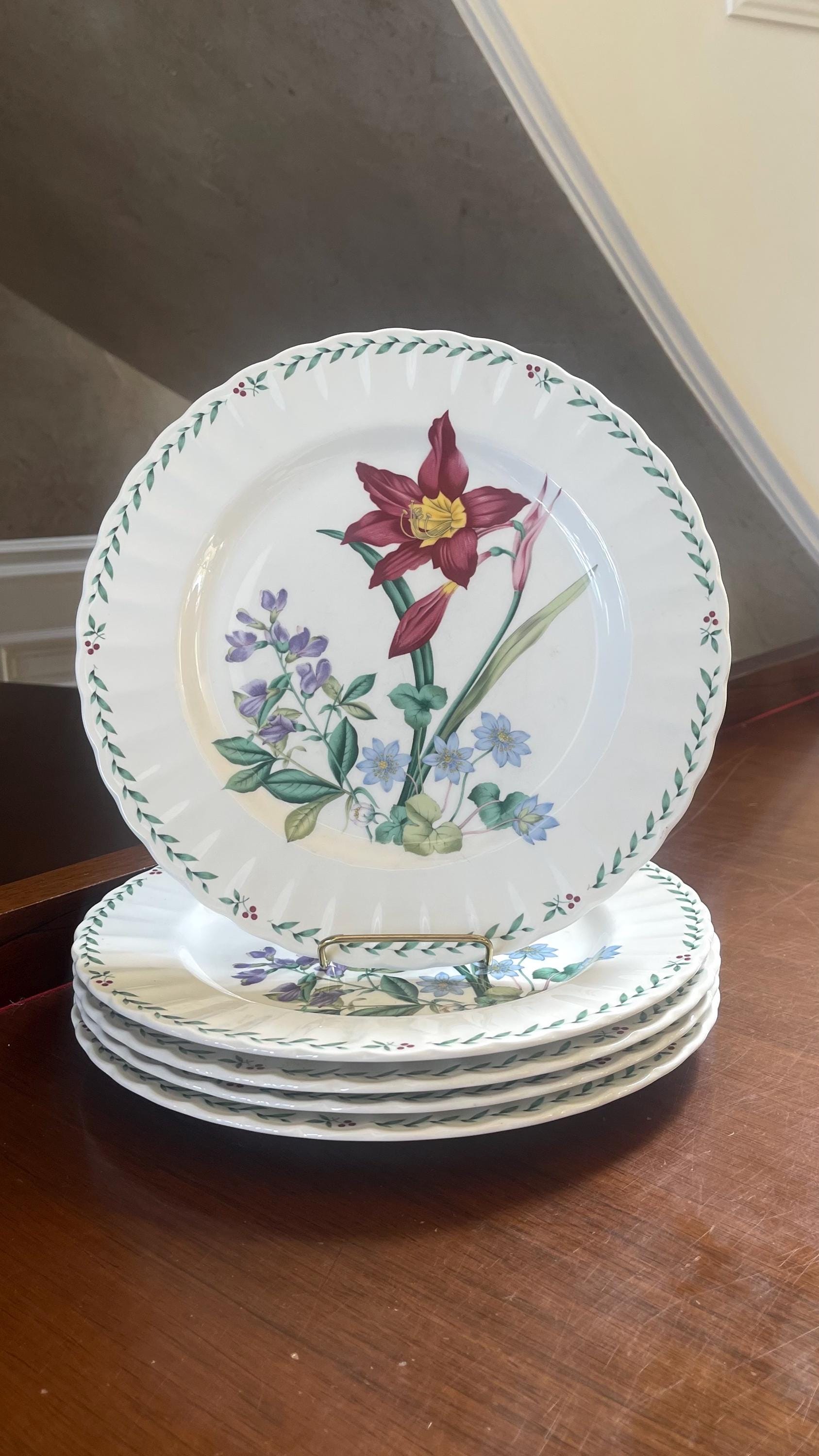 ミカズキッチン プレート Mikasa Maxima Set of 5 Dinner Plates Summer Symphony - Etsy