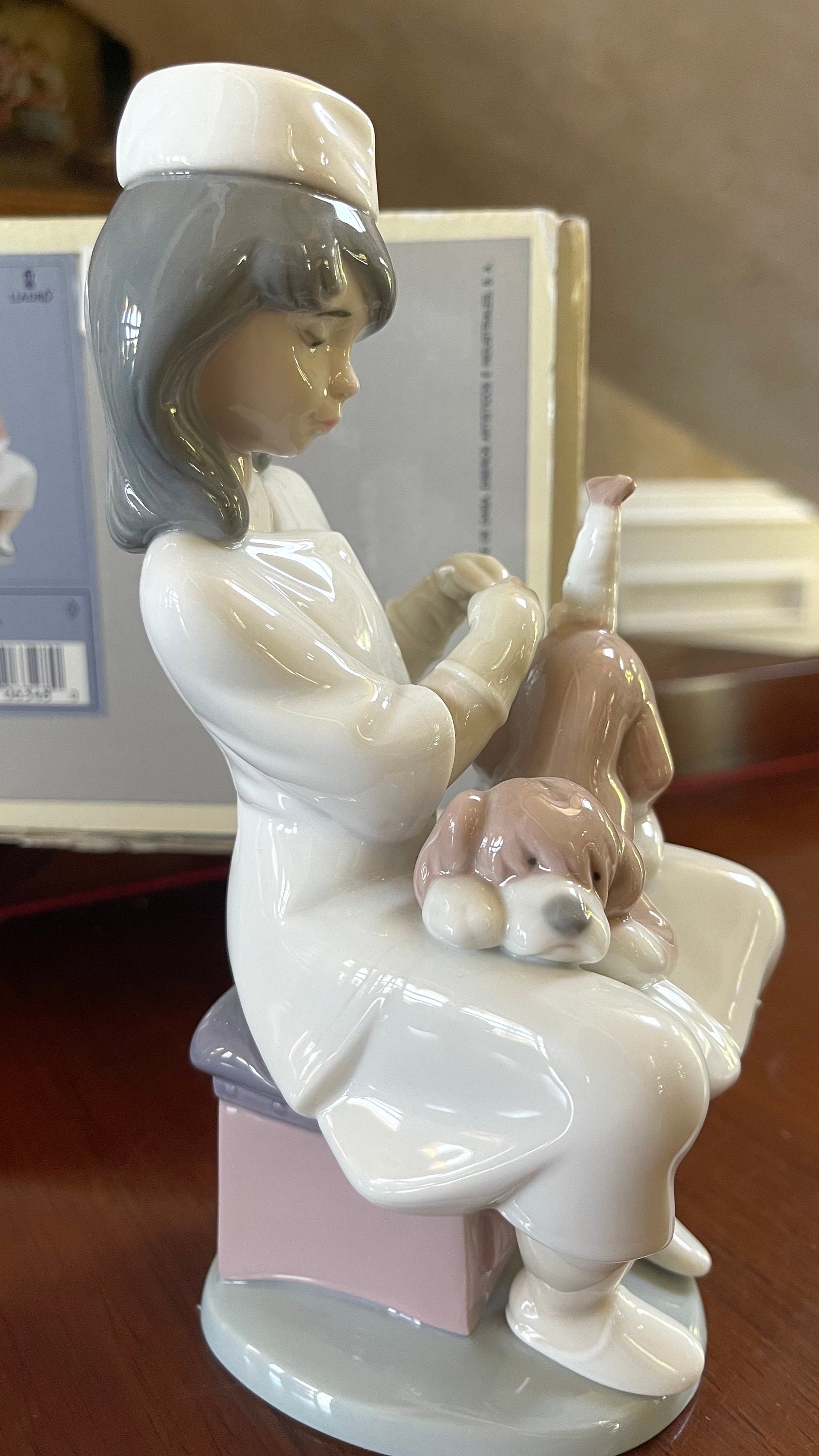 Lladro “little Veterinarian” Nurse With Her Dog 6348 Porcelain
