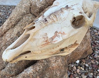 Painted Horse Skull Horse Painting Painted by Rock Betu in 1983