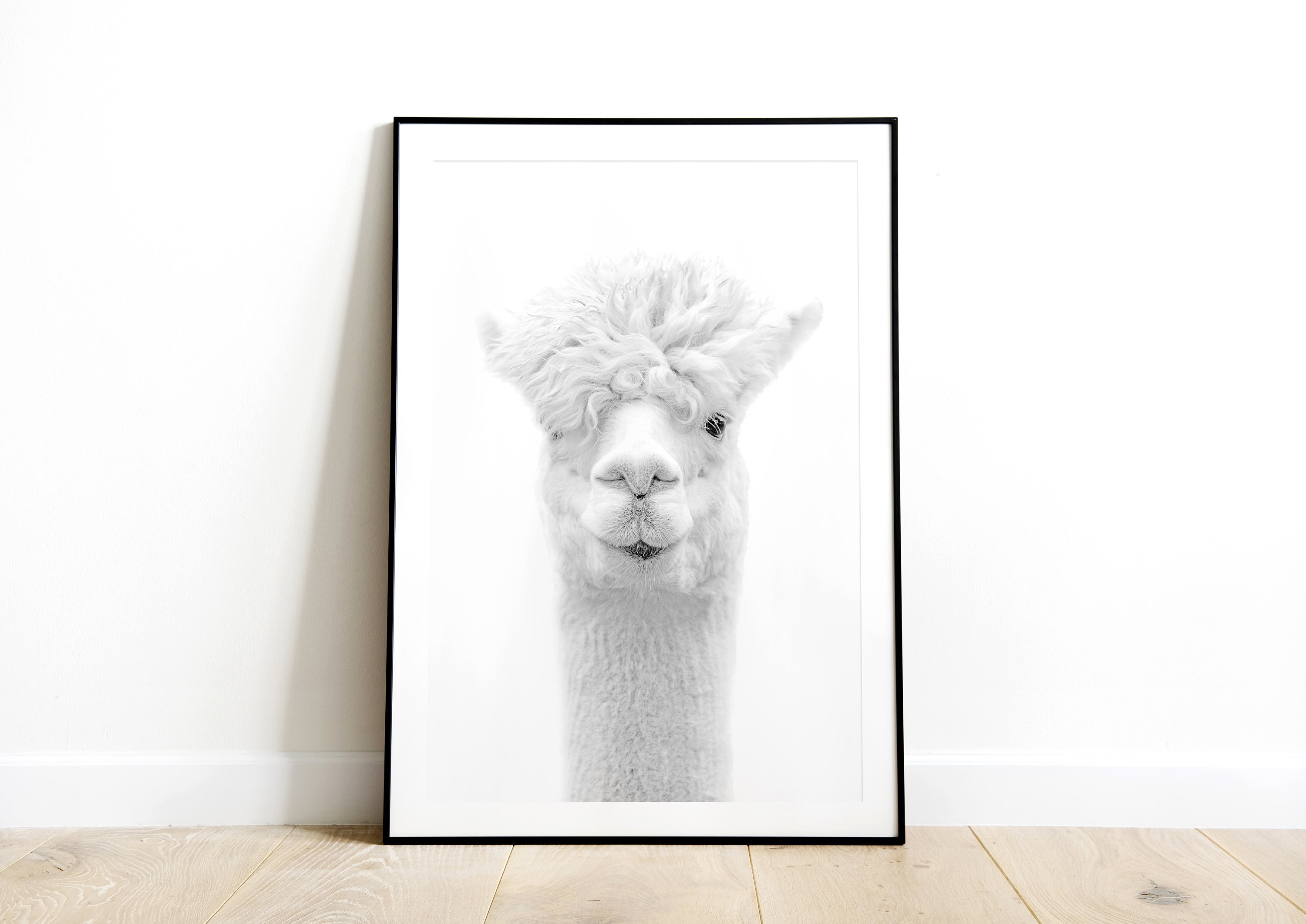 Alpaca Print Animal Print Printable Alpaca Kids Wall Art | Etsy