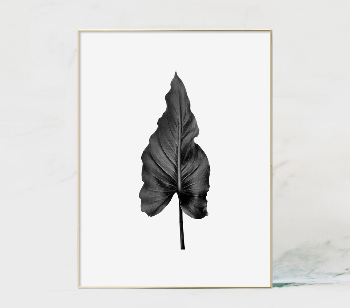 Printable Black and White Leaf Black and White Leaf Print - Etsy