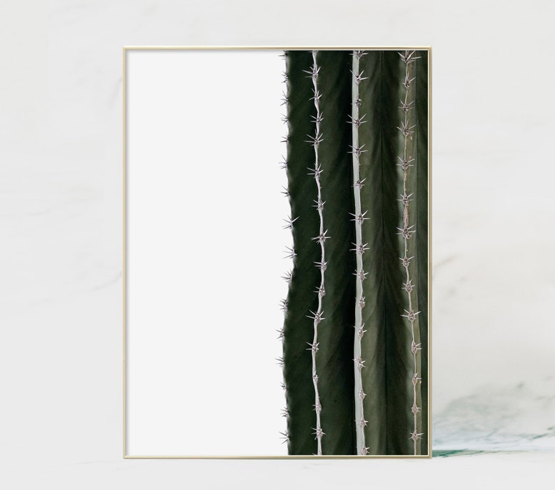 Printable Cactus Minimalist Cactus Print Cactus Wall Art Etsy