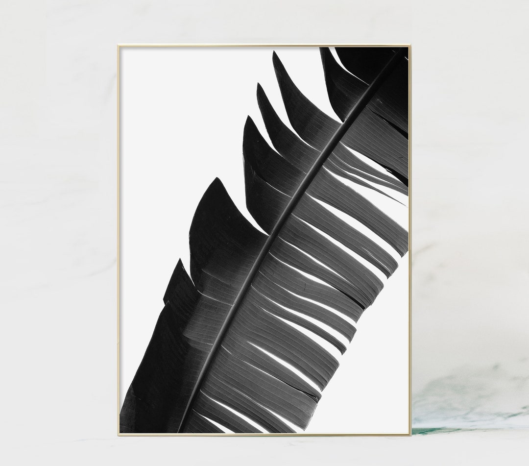 Black and White Tropical Leaf Tropical Print Palm Leaf Wall - Etsy