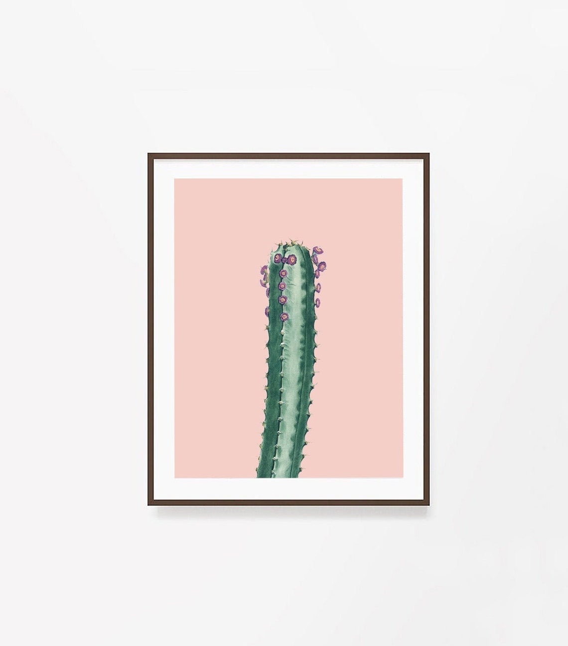 Pink Cactus Printable Wall Art Cactus Decor Succulent Print Etsy