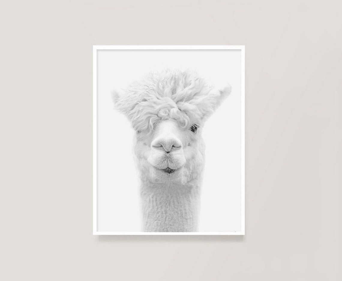 Alpaca Print Animal Print Printable Alpaca Kids Wall Art | Etsy