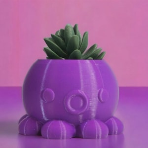 Indoor Plants Cute Pot Home Decor for Indoor Plants Octopus Planter Lover Indoor Plant Decor Gift Idea Succulent Planter
