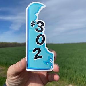 Delaware #302 sticker