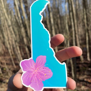Delaware Peach Blossom sticker