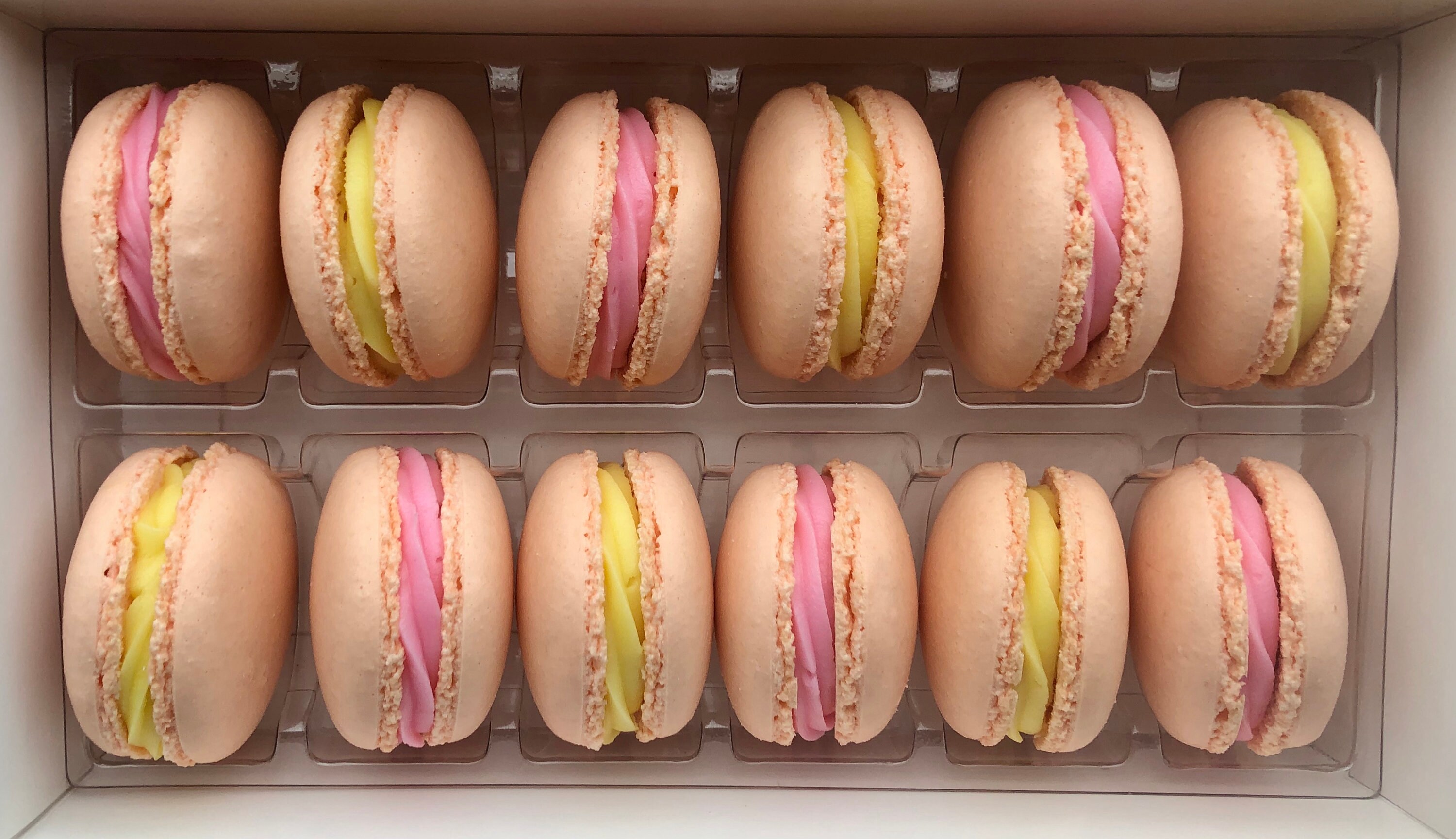 One Dozen Macarons Over 40 Flavors Etsy