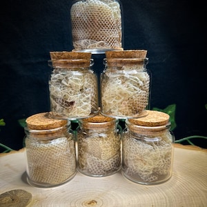 May include: A pyramid of six small glass jars with cork stoppers. Each jar is filled with a shed snakeskin. The jars are arranged on a wooden slice against a dark background, creating a natural and earthy aesthetic.