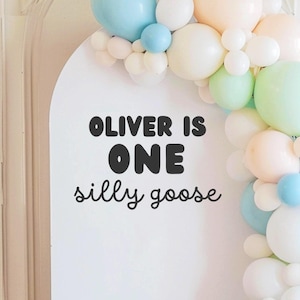 One Silly Goose | Birthday Vinyl Decal, Silly Goose Birthday, First Birthday Backdrop, Goose Theme Party