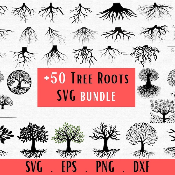 Racines d’arbre SVG, Racines SVG Bundle, Racines SVG, arbre généalogique svg, racines d’arbres Clipart svg, Arbre de vie celtique, Arbre de vie pochoir silhouette