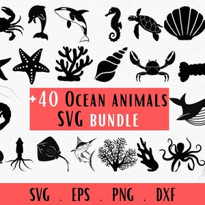 Oceaan dieren Svg, zeedieren Svg bundel, Sea Life Svg, zeepaardje svg, haai svg, schildpad svg, octopus svg, zeester svg, cricut & silhouet