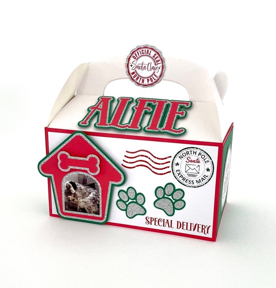 Dog treat 2024 box delivery