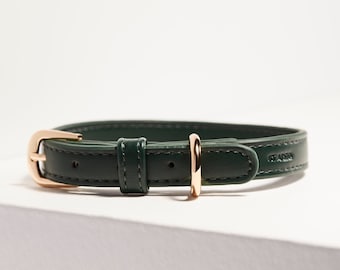 Green Dog Collar for Puppies, Small & Large Dogs - Perfect Gift for Dog Lovers