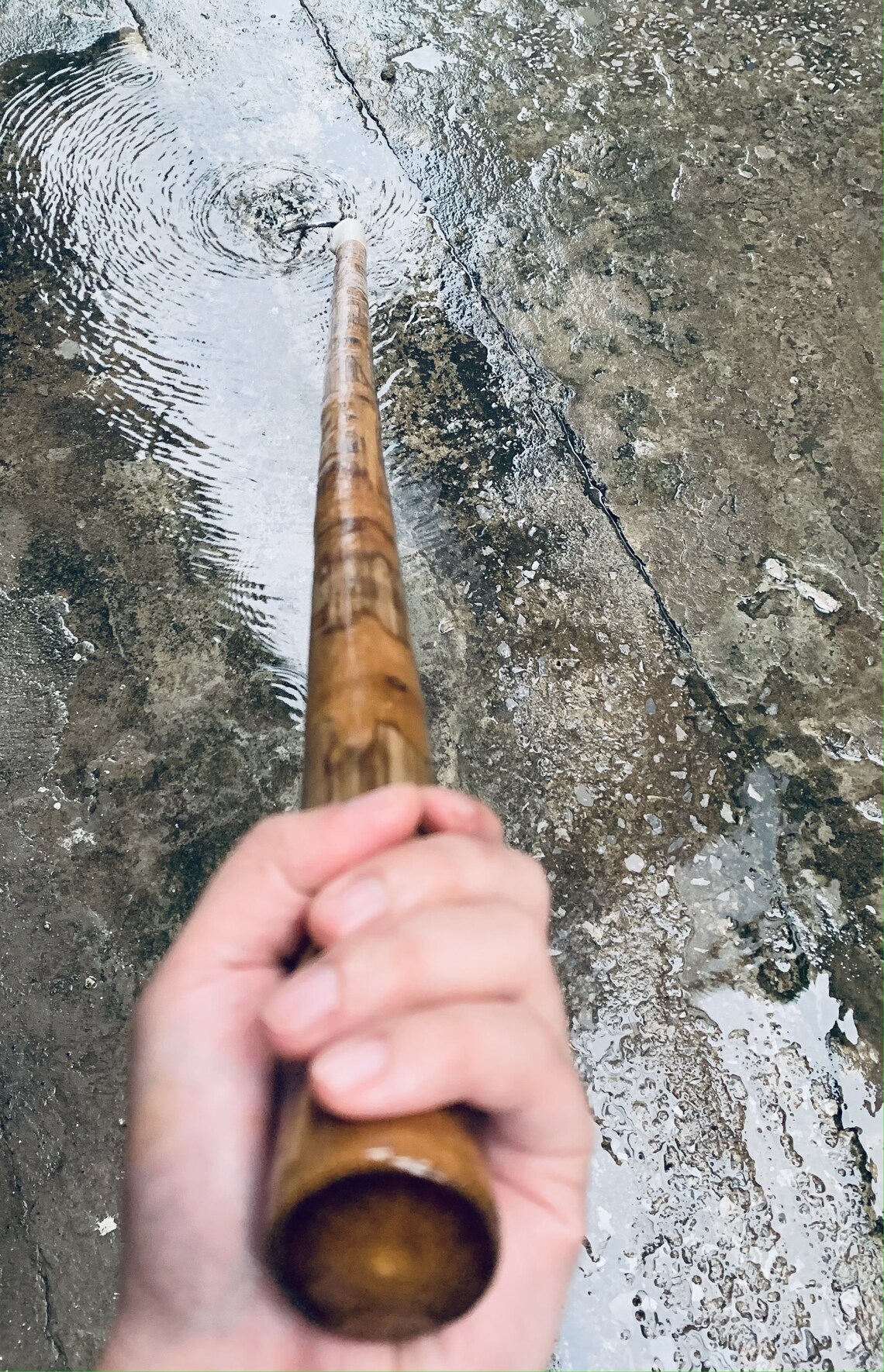 Bamboo Fishing Gaff/ Fishing Gaff/ 26 Feet Etsy