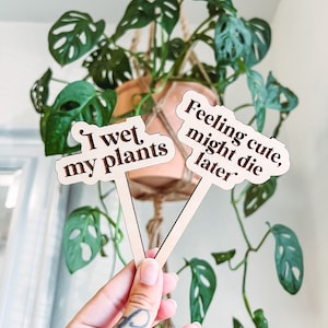 Funny Personalized Wooden Plant Stakes, Plant Markers, Garden Stakes, Garden Decor, Plant Accessories, Funny Plant Markers, Plant Signs