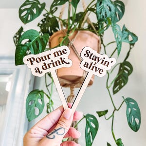 Juego de 10 estacas divertidas para plantas, marcadores para plantas, letreros para jardín, archivos para grabar y cortar, Adobe Illustrator, SVG, EPS, PDF, compatibles con Glowforge y Cricut