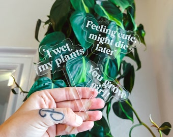 Funny Personalized Clear Acrylic Plant Stakes, Plant Markers, Garden Stake, Garden Decor, Plant Accessories, Funny Plant Markers, Plant Sign
