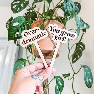 OwnGrown Wooden Arrow Plant Markers - 50 Plant Name Tags with Marker Pen  for Gardening and Seedling Labels - Garden Sign and Labels for Plants 