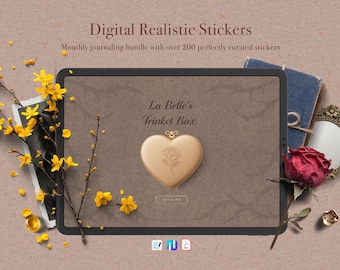 La Belle's Trinket Box – Digital Journaling Bundle – GoodNotes, Noteful and PNG