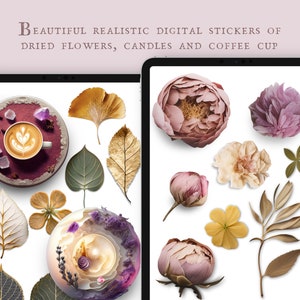 Fiori pressati, adesivi digitali realistici, file PNG trasparenti e Goodnotes