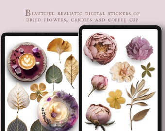 Pressed flowers - Realistic Digital Stickers, PNG und Goodnotes Datei
