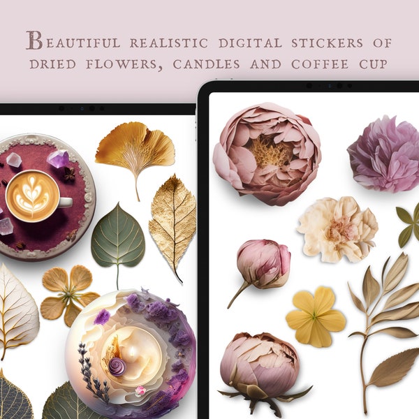 Gepresste Blumen,  Realistische Digitale Sticker, transparente PNG und Goodnotes Datei