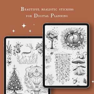 BuJo Illustrationen - Anmalbilder zu Weihnachten - Digitale  Sticker PNG and Goodnotes file